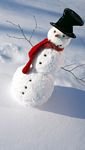 pic for Happy Snowman 
